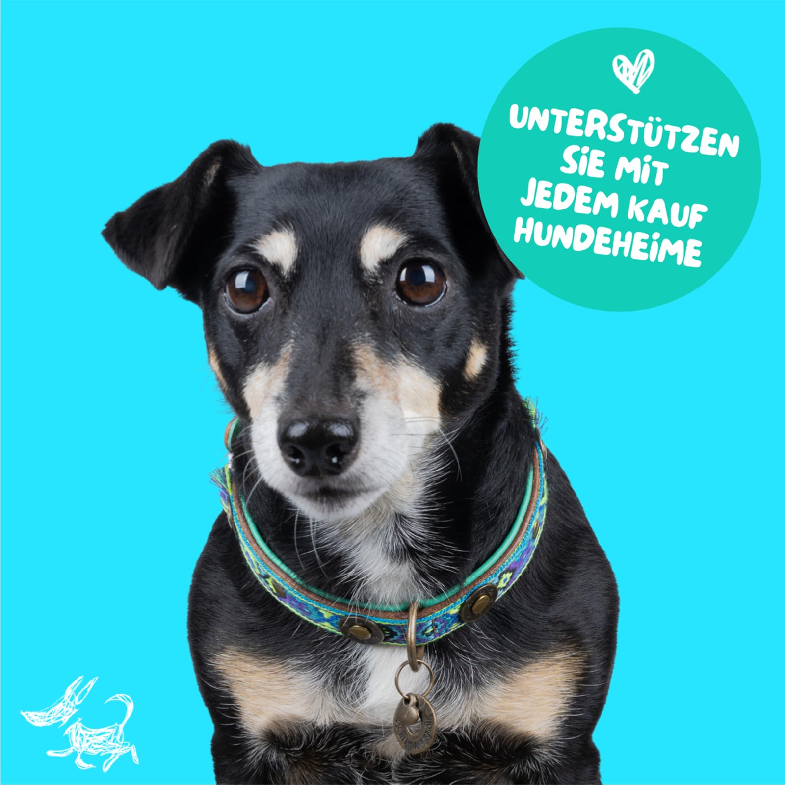 Dog with a Mission - Hundehalsband S | Farbenfroh in Blau und Türkis | Boho, Ethno, Ibiza, Hippie | Für mittelgroße Hunde | Handgemacht | Modisch und Bunt | Aus weichem Echtes Leder | 2,5 cm Breit