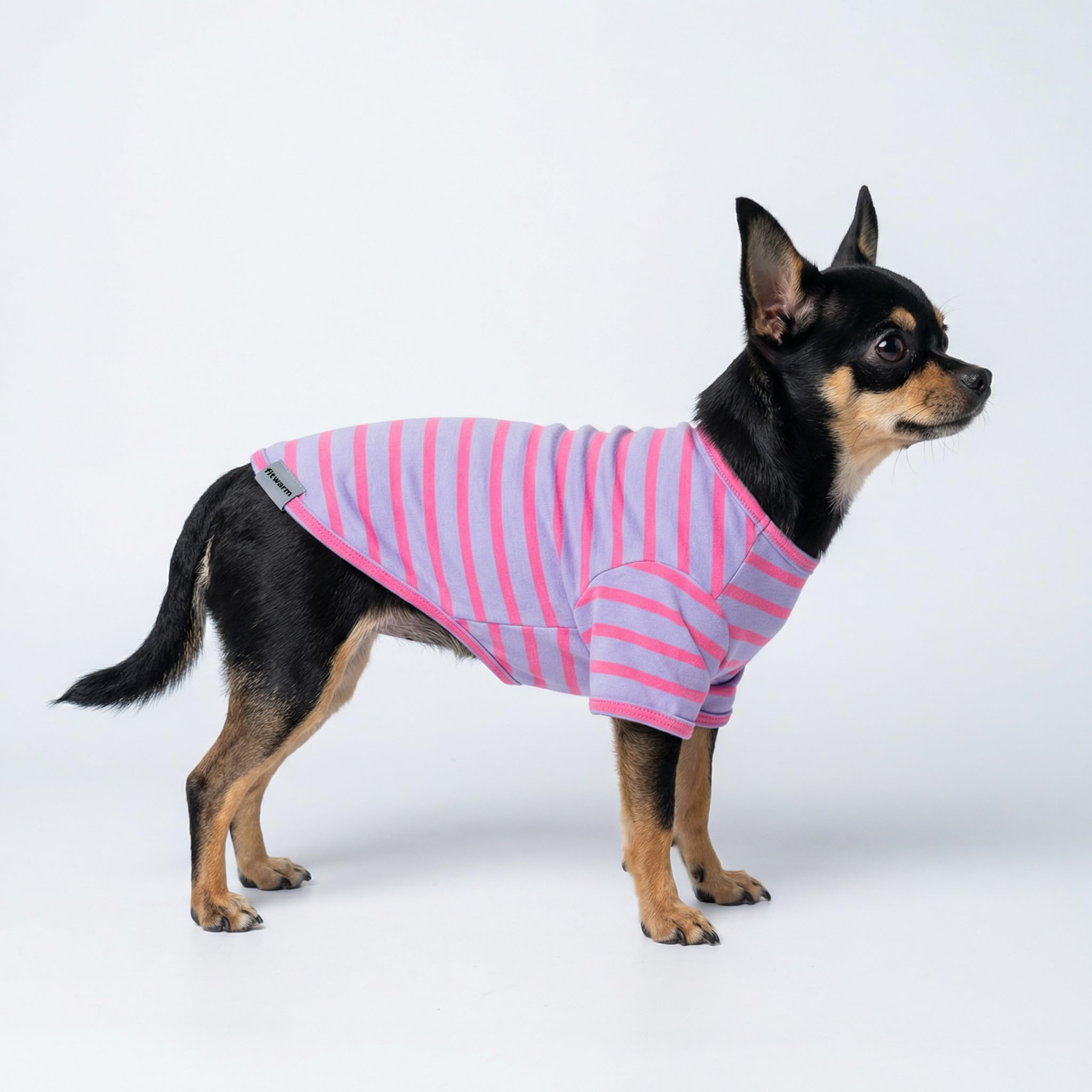 Fitwarm Lot de 3 Chemises rayées aux Couleurs contrastées pour Chien, vêtements d'été pour Petits Chiens, t-Shirts Respirants et légers pour Chien, Tenues pour Animaux de Compagnie, Rose, Orange