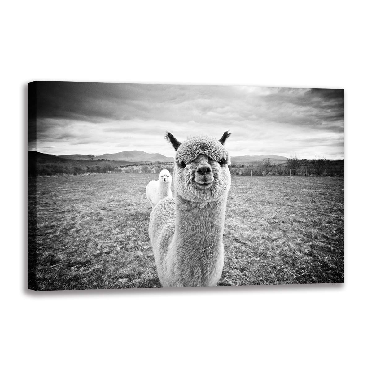 Impression alpaga noir et blanc avec cadre déco murale salon moderne 90x140 cm - 8