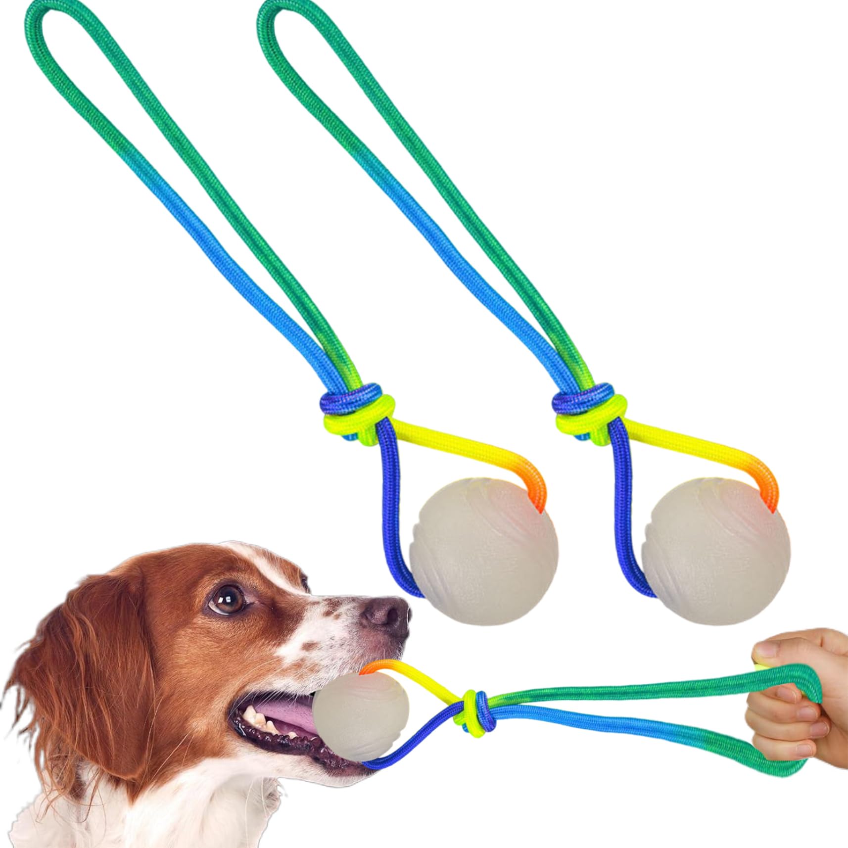 2Pcs Glow In The Dark Dog Ball, 2 Inch Light Up Dog Ball with 11.4 Inch Rope Rubber Glow Balls Toy for Small Large Medium Dogs Light Up Dog Ball