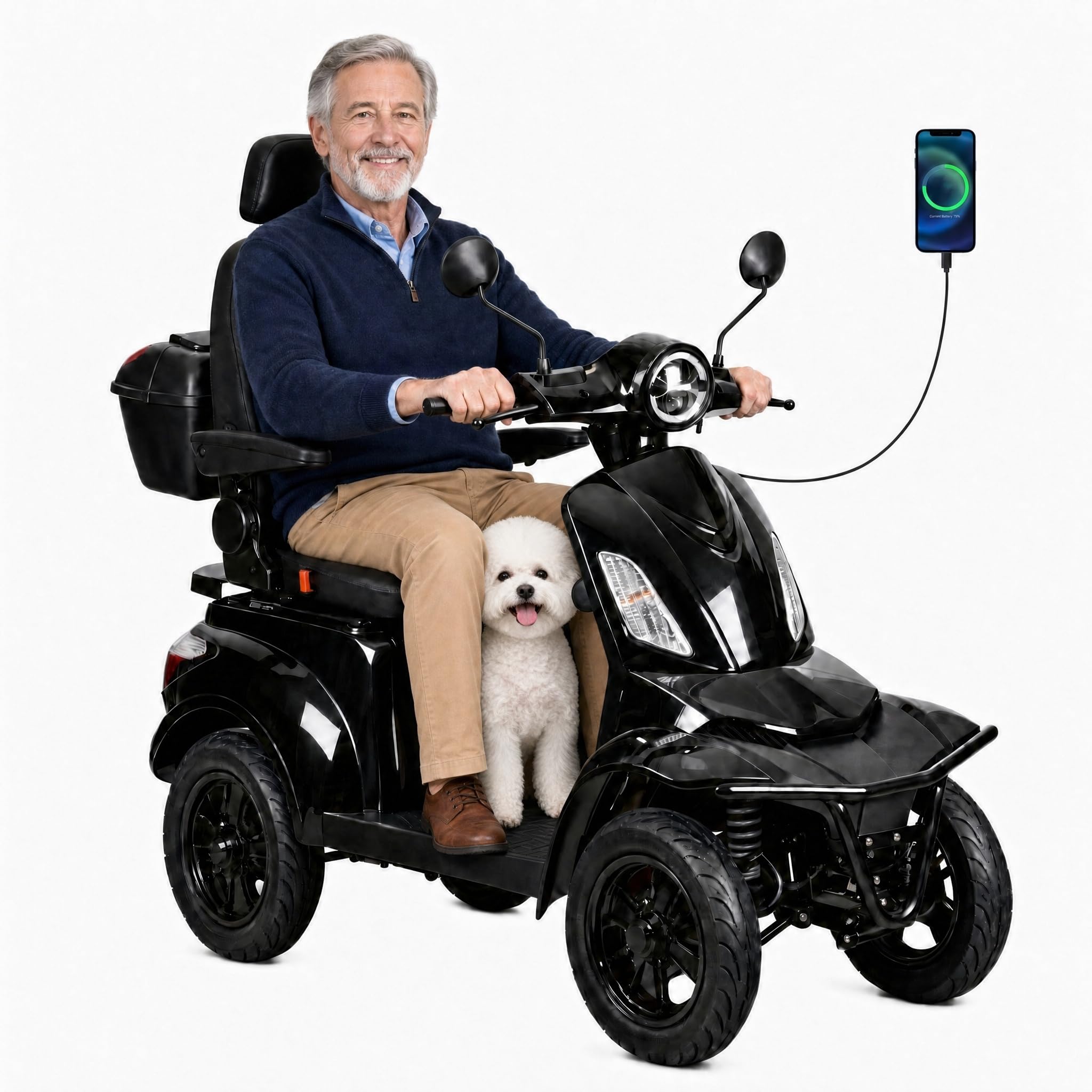 1000W Heavy Duty Mobility Scooter