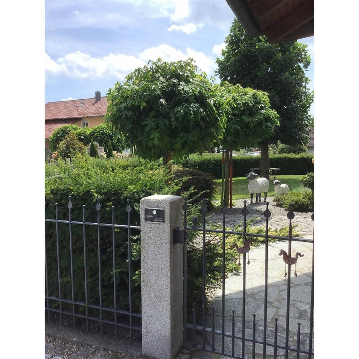 Metzler® sonnette extérieure inox avec bouton-poussoir LED et gravure personnalisée anthracite RAL 7016 – étanche IP67, robuste 3 mm, éclairage annulaire – 10 ans pièces détachées