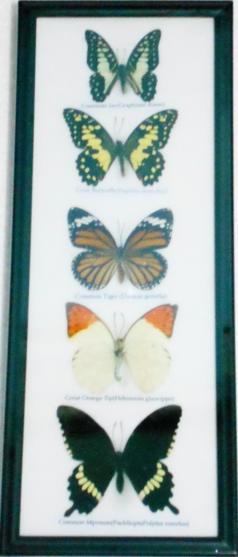 Slushy Cup Frozen Magic Squeeze Cup Quick Frozen Smoothies Cup Ice Cream Slushy Maker Cup