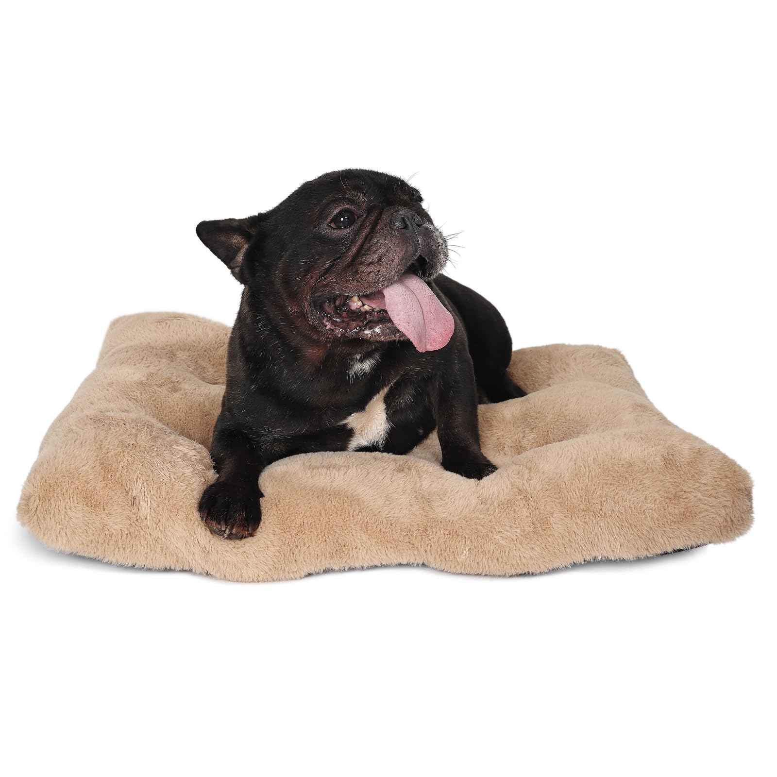 Small Dog Bed for Crate 24x18 washable Extra Soft 24 inch Crate Bed for Puppy with Anti-Slip Bottom,Comfy Fulffy Kennel Pad for Small Dog Breeds Pet Sleeping Mat,Light Brown