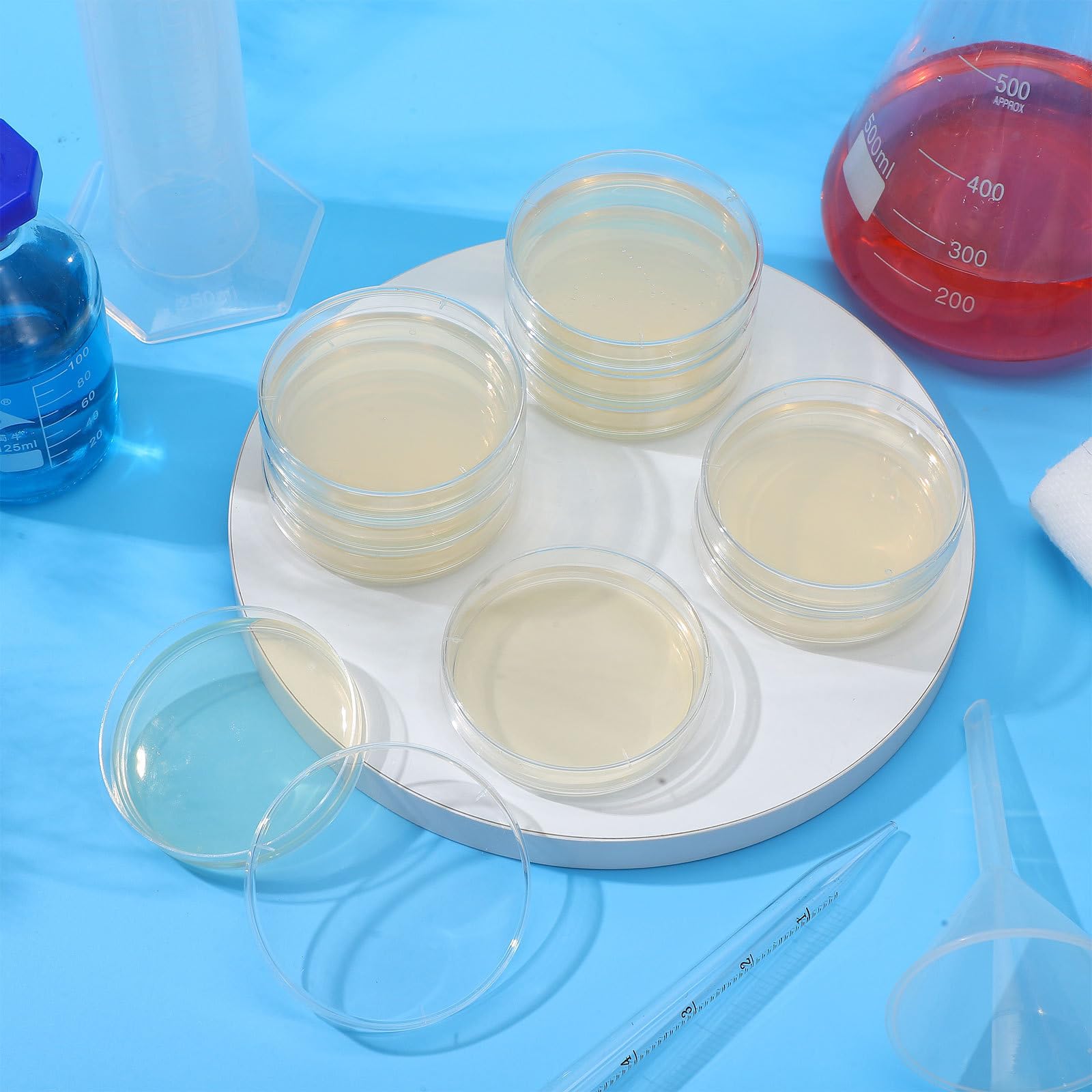 Boîtes de Petri Pré-remplies à Agar 7cm, Lot de 10