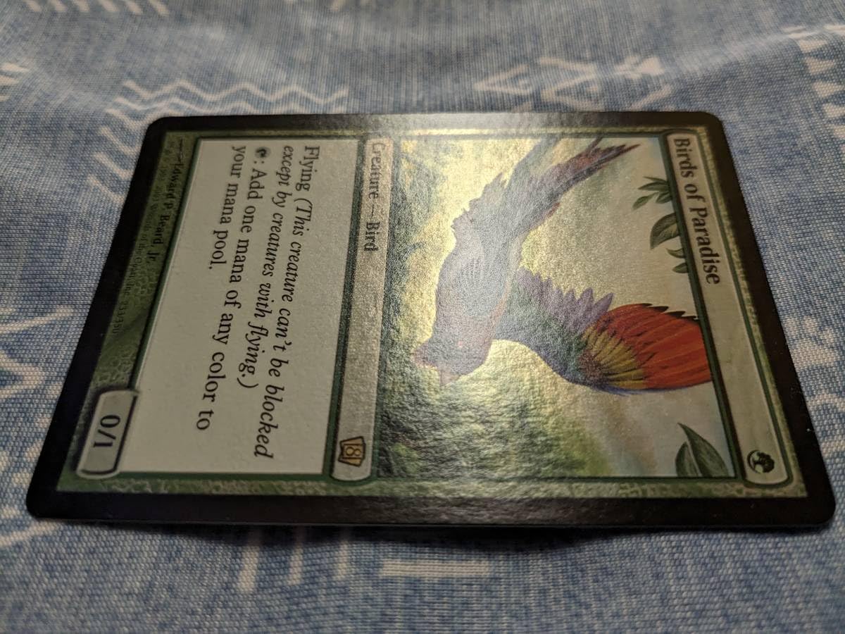 Amazon.co.jp: MTG Foil 英 極楽鳥 Birds of Paradise [8ED] №01