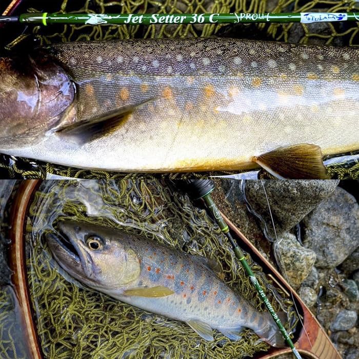 Amazon | ジェットスロウ トラウトロッド ジェットセッター 36C SPROUT