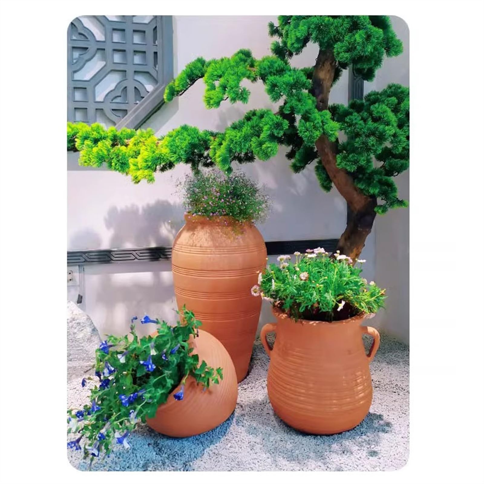 Amazon.co.jp: 植木鉢 赤粘土植木鉢セット屋外の庭の風景粘土