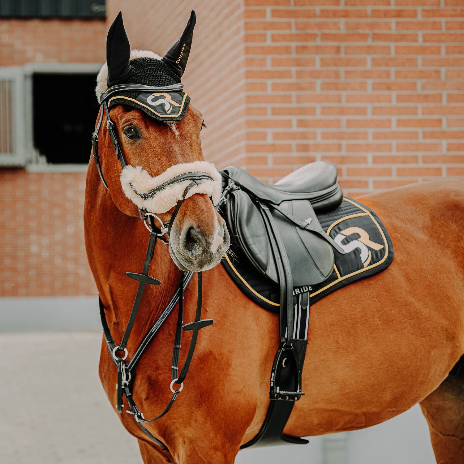 SUNRIDE Pettorale Cavallo in Pelle con martingala (Windsor) – attacco a 3-punti – forchetta martingala rimovibile – inserti elastici – regolabile (Full, Negro)
