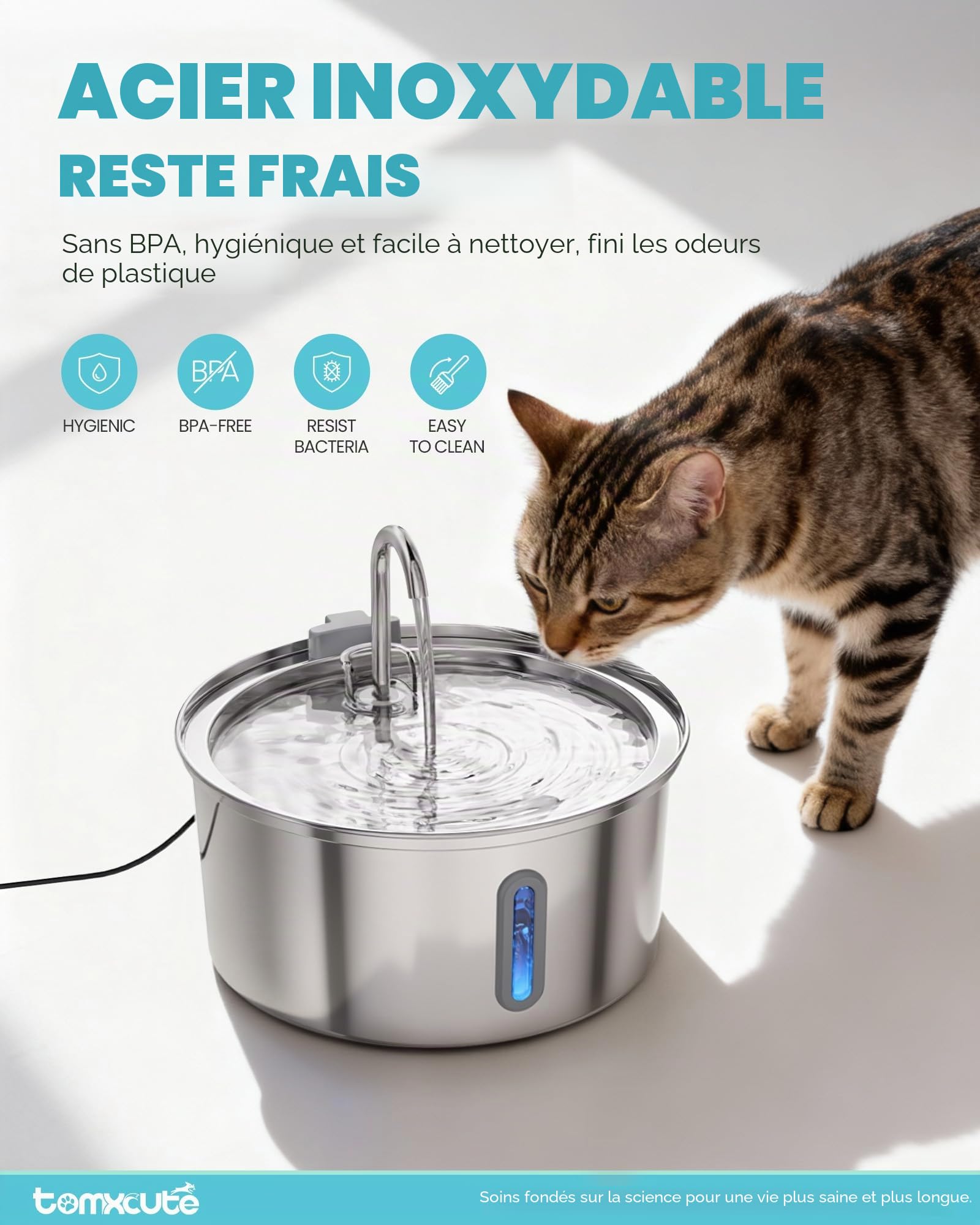 TOMXCUTE Fontaine a Eau Chat INOX (Acier Inoxydable, Robinet Fontaine à Eau pour Chat)