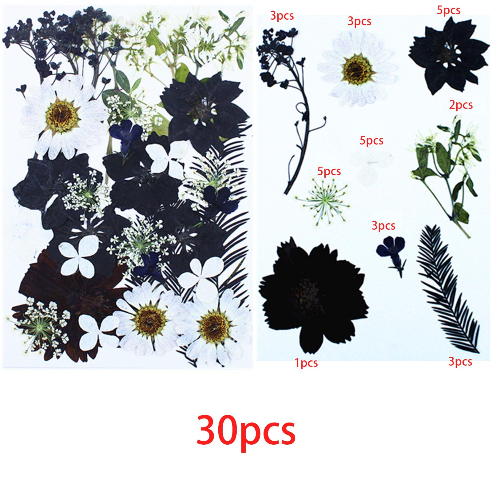 Fleurs Séchées Naturelles 64 Pièces - Kit DIY Pour Résine, Bijoux, Nail Art