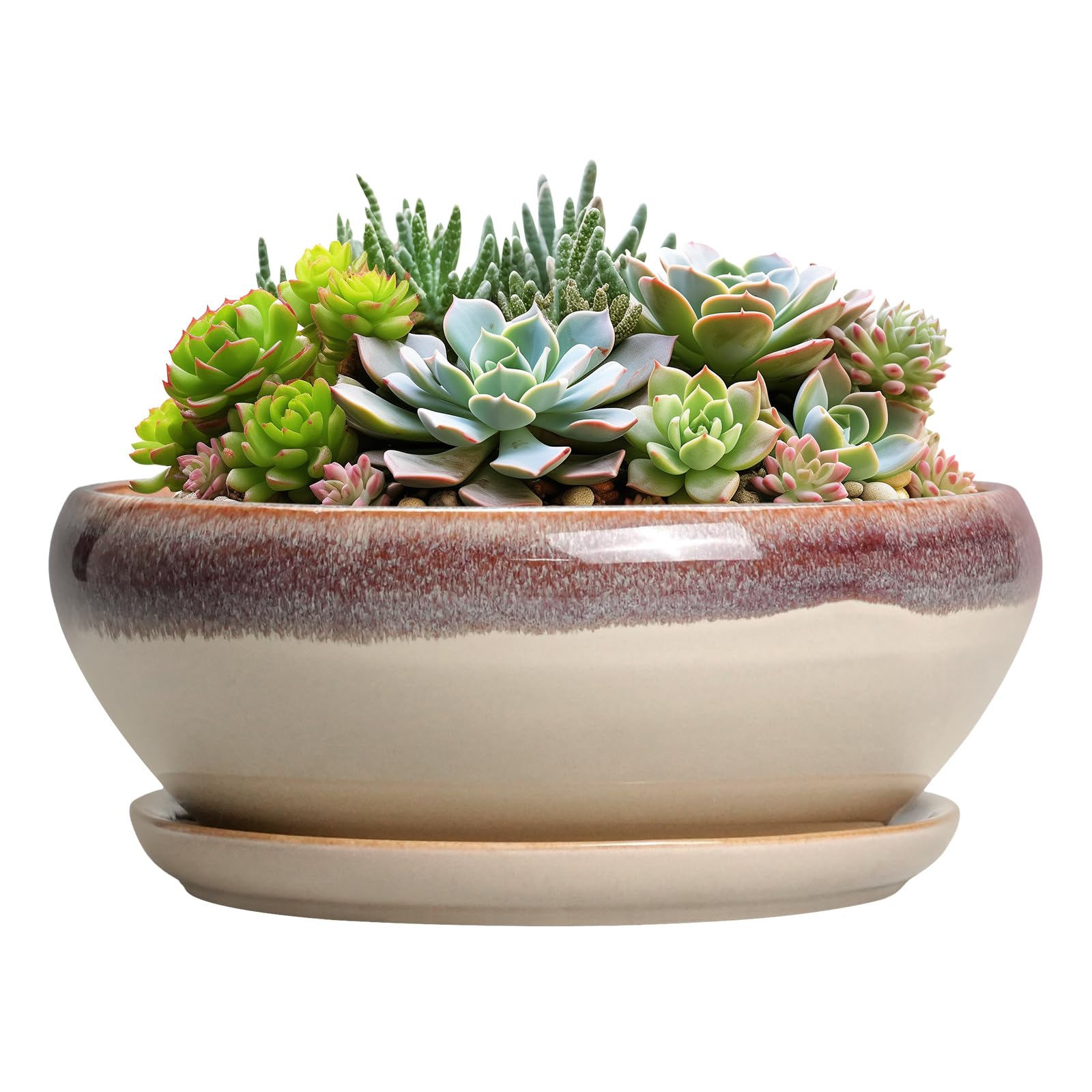 SQOWL Succulent Pots 8 Inch