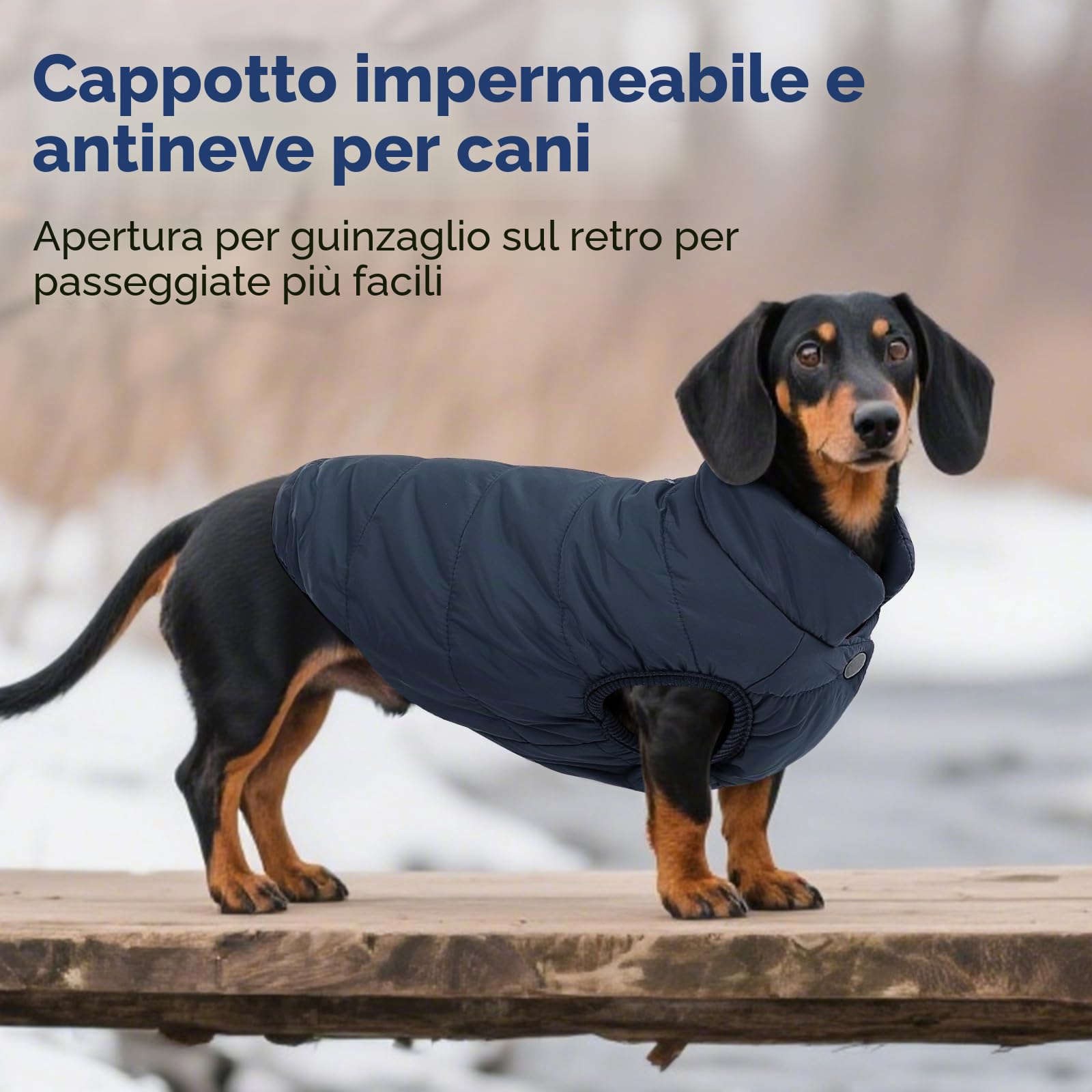 ASENKU Cappotto Cane Impermeabili Invernale, Cappottino Cane Calda Giacca per Cani Taglia Piccola Media Grande, Cappotto Gilet per Cani con Fodera in Lana Protegge Dal Freddo