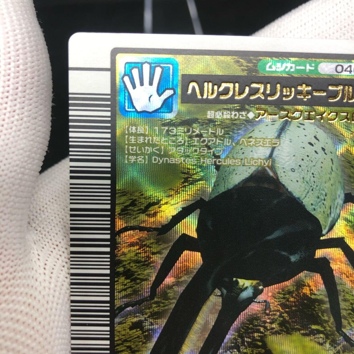 Amazon.co.jp: 甲虫王者ムシキング ムシキングカード 2004セカンド 