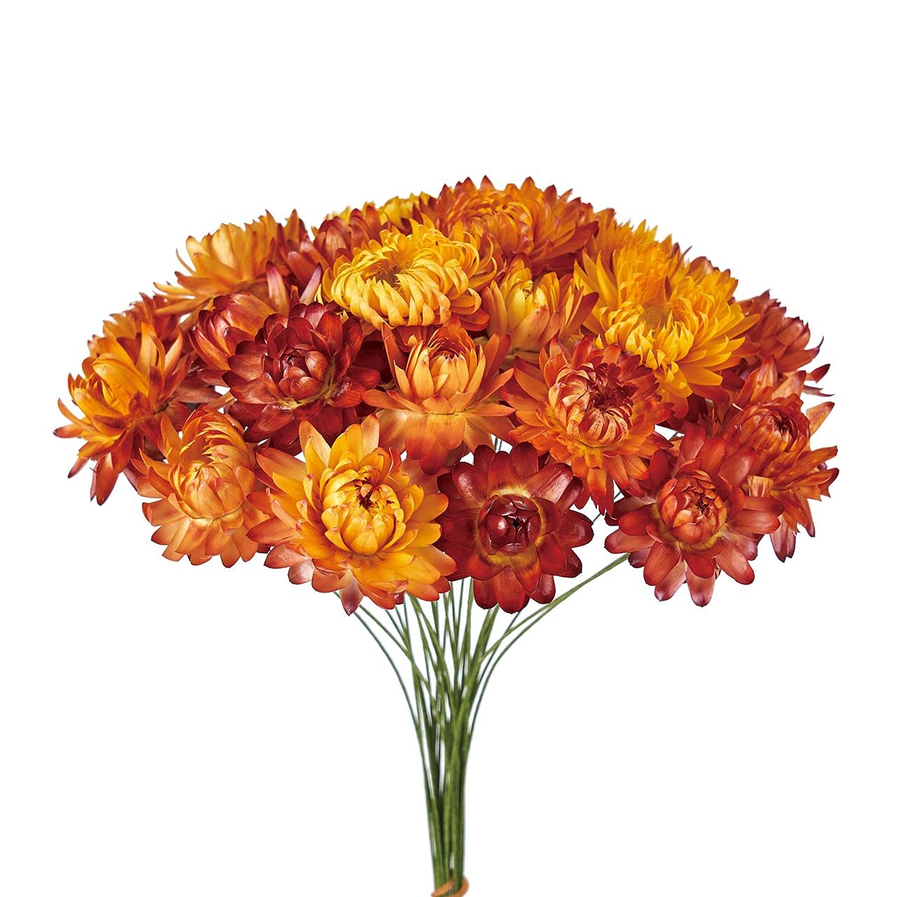 オレンジ色の菊 5本 花瓶付き Amazon｜東京堂 麦わら菊ワイヤー付 オレンジ ドライフラワー FD003021