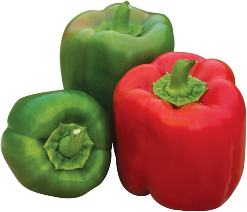 Semillas híbridas de pimiento morrón Burpee Sweet Candy Apple - Semillas de pimiento rojo dulce para el cultivo de huertos familiares