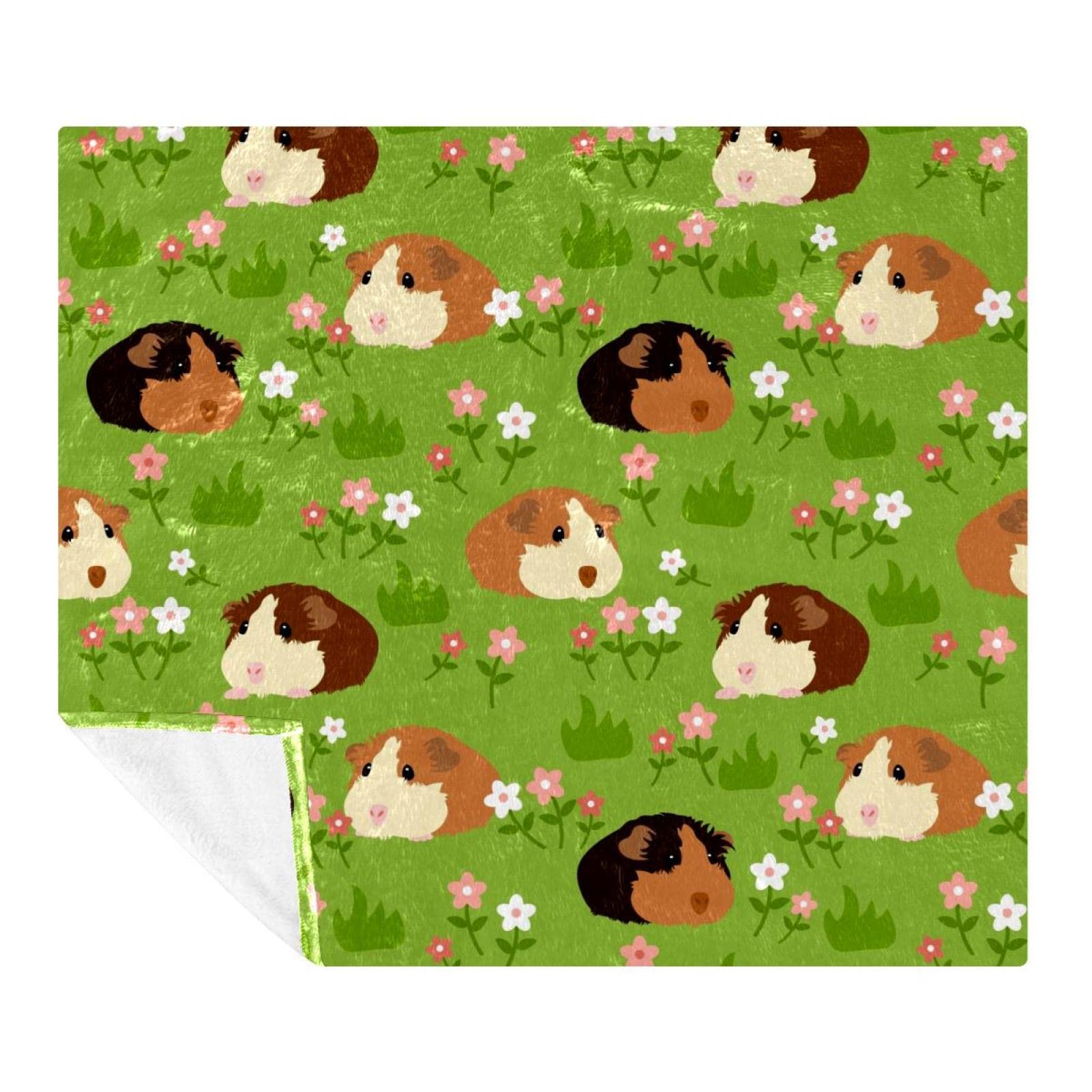 Couverture cochon d'Inde douce pour partager des moments de tendresse au salon