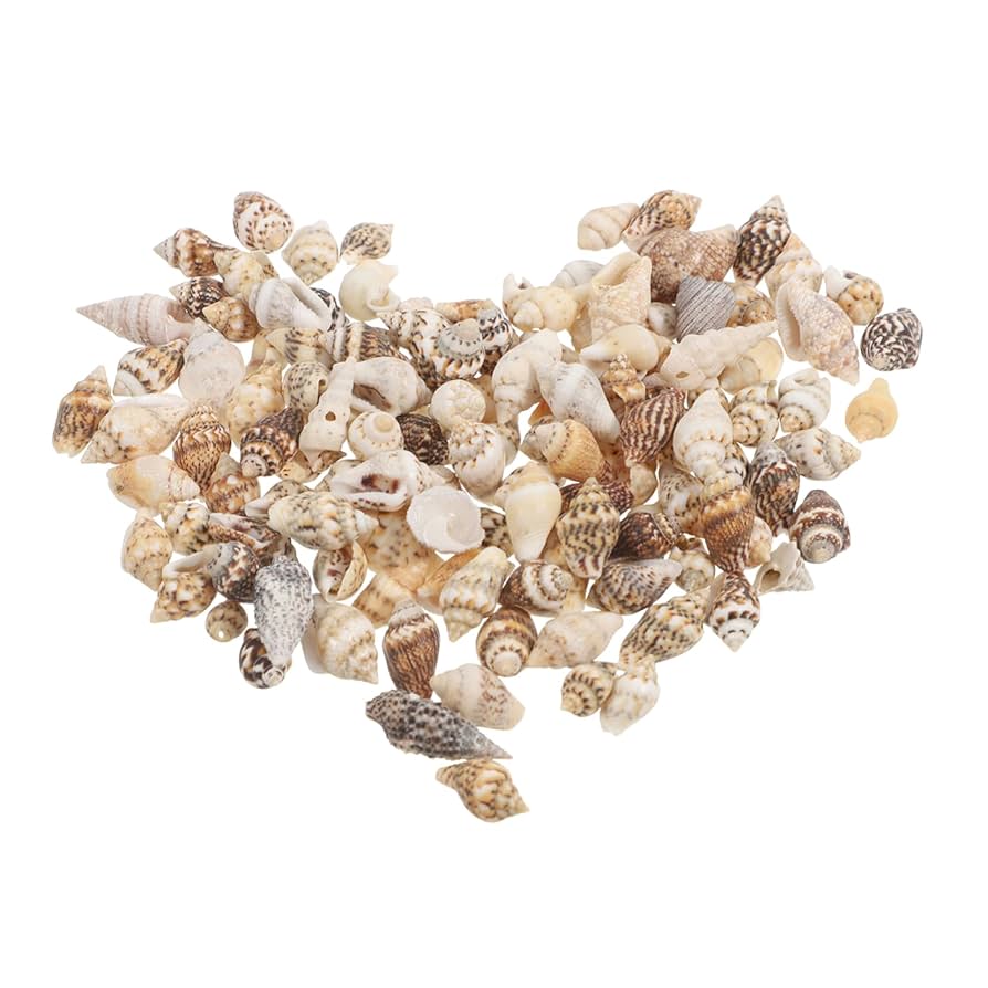 Amazon.co.jp: HOMOCONO 多様な貝殻の詰め合わせ。工芸品