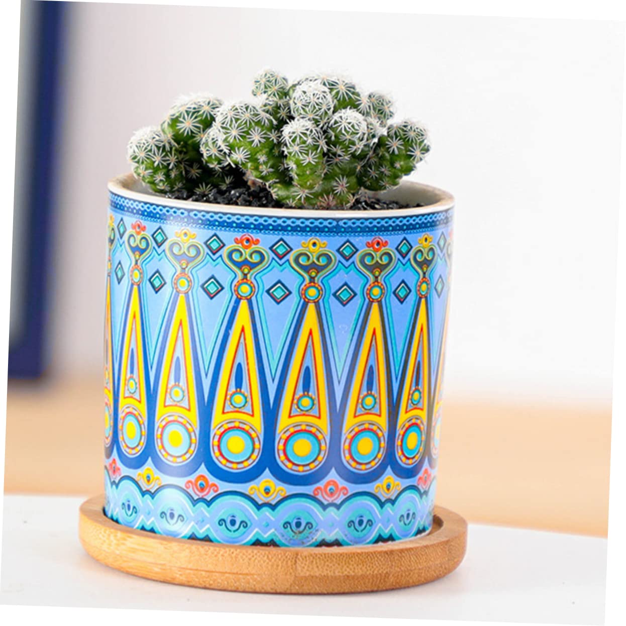 Yardwe Set 8 Pezzi Vasi Succulenti Cilindrici in Ceramica Motivo Mandala, Mini Vaso di Fiori per Piante Grasse, Ornamento per Casa e Ufficio 4 Supporti in Bambù Colorati