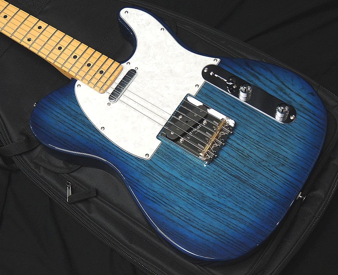 FGN FUJIGEN フジゲン NTL10MAH-SBB Neo Classic SERIES