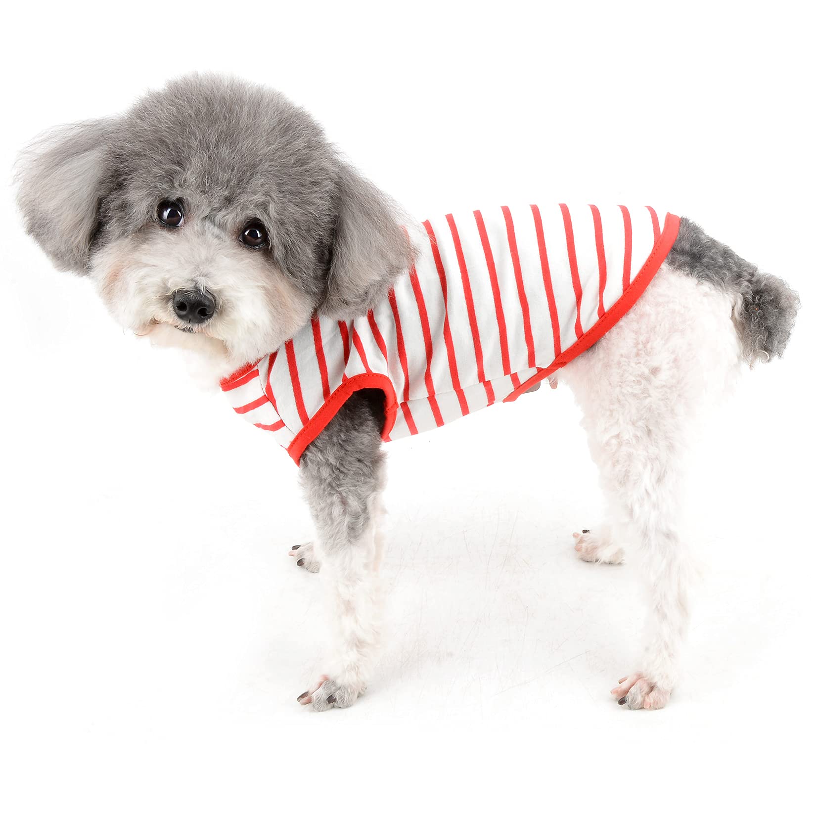 Ranphy Stripe Small Dog Shirt Cotton pet Clothes Puppy Sleeveless T-Shirt Doggie Cat Vest Knitted Soft Tank Top Breathable Tee Doggy Summer Apparel for Chihuahua Yorkshire Terrier Teddy