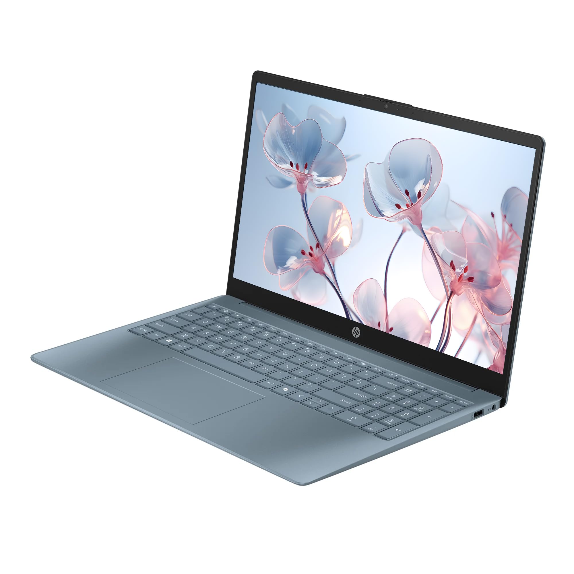 Amazon.com: HP 15.6