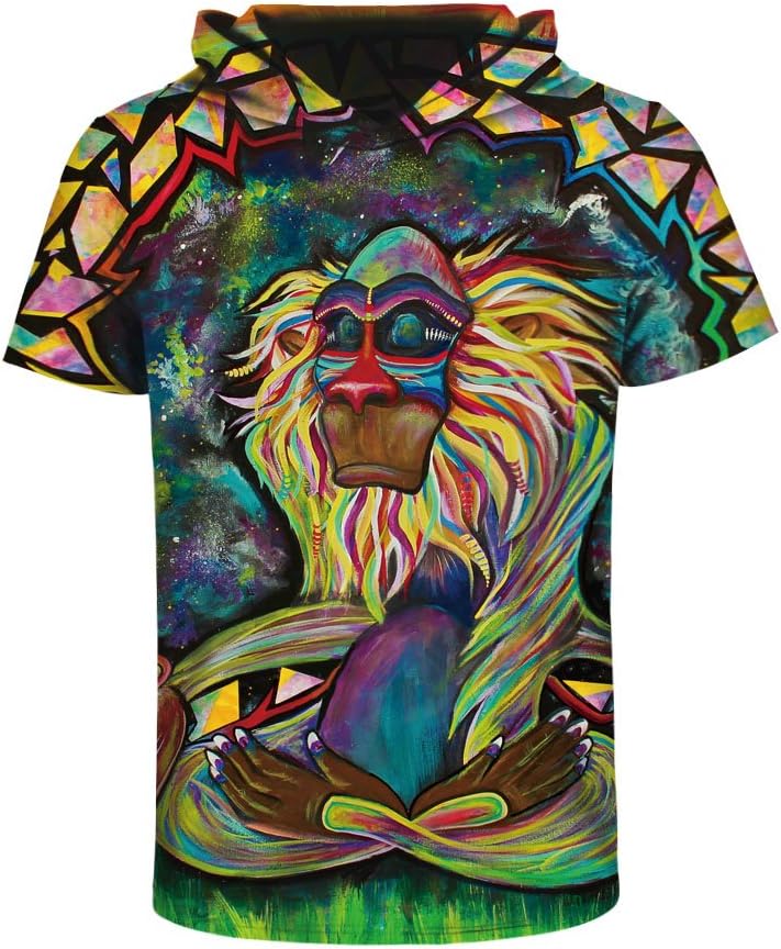 Unisex Graffiti Sorcerer Painting 3D Hooded Tshirt (L/XL, Wizard)