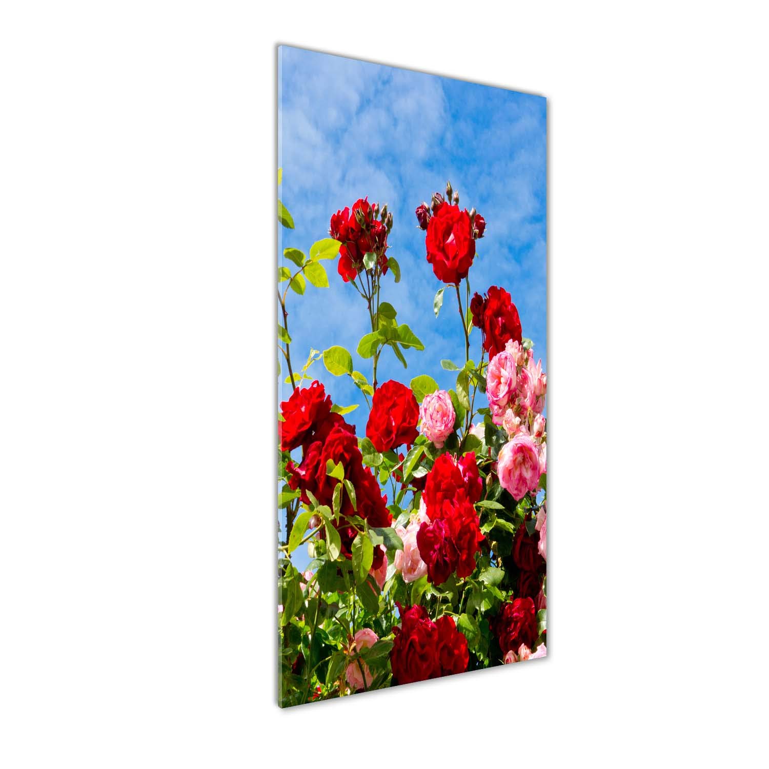 Impression sur verre acrylique 50x125 fleurs et plantes multicolore