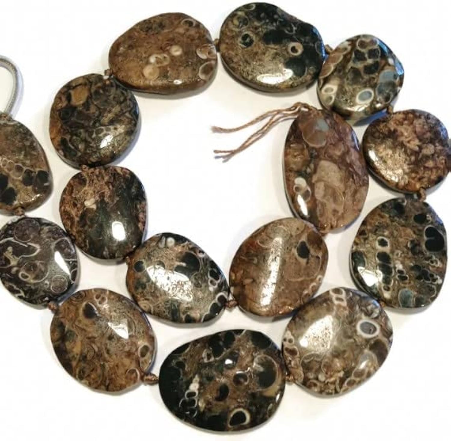 Turritella agate slabs naturelles de qualité supérieure pour joaillerie artisanale