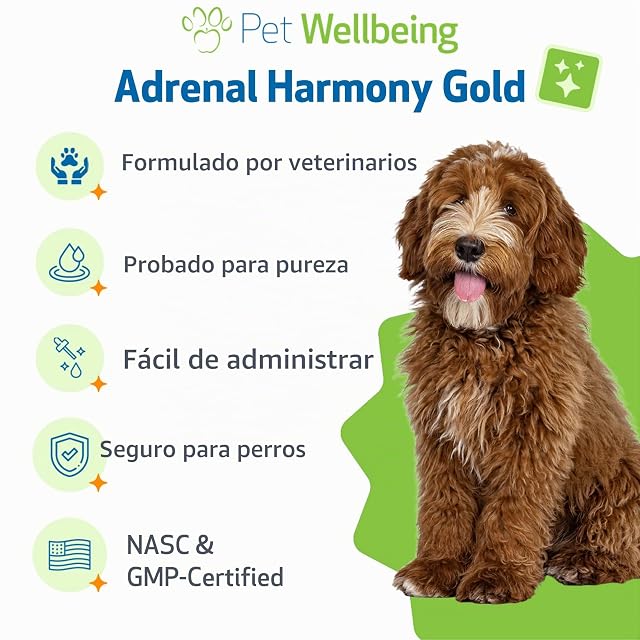 Foto 6 de 8 de Pet Wellbeing - Adrenal Armonía Oro para Apoyo Natural Perros- para La Disfunción Adrenal Y Síndrome…