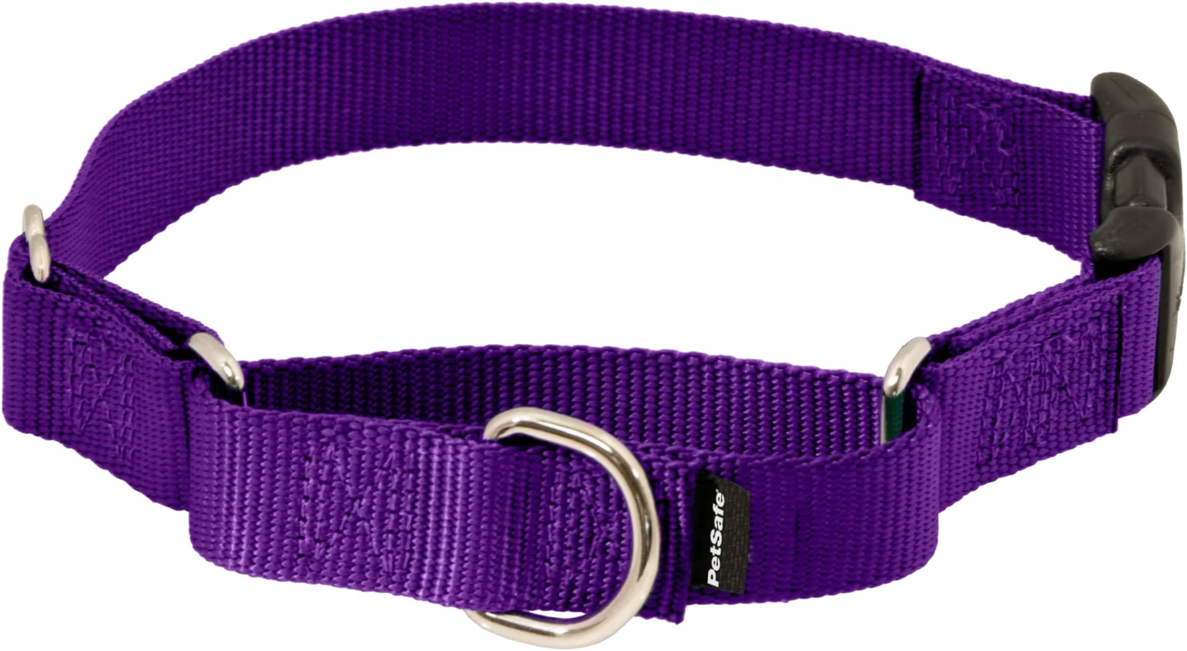 PetSafe Martingale Collar with Quick Snap Buckle, 1" Large, Deep Purple