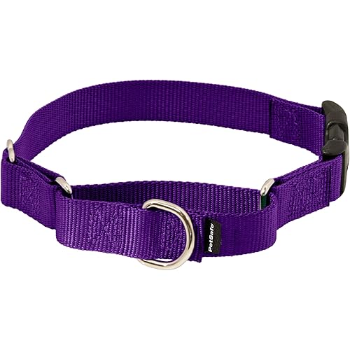PetSafe Martingale Collar with Quick Snap Buckle - Humane Gentle Correction for Better Leash Control - Durable Nylon Material - Adjustable No-Slip Collar - Safe & Secure Walking Control