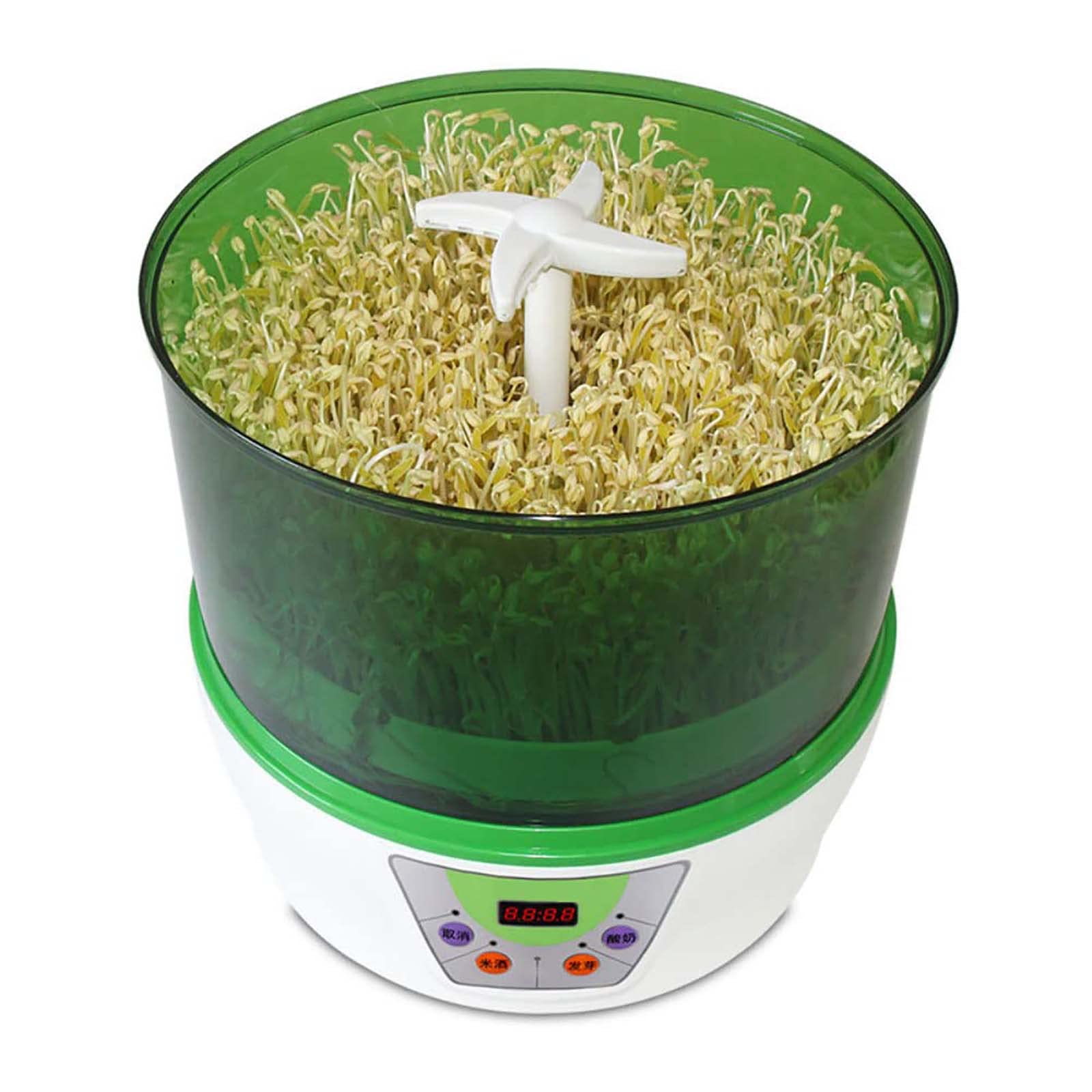 Machine à germer Les Haricots électrique, kit de Germination Intelligent pour graines, Machine à germer Les Haricots, Outils électriques pour semis