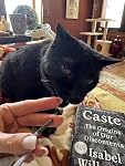 Review Image by Cat People Cat People