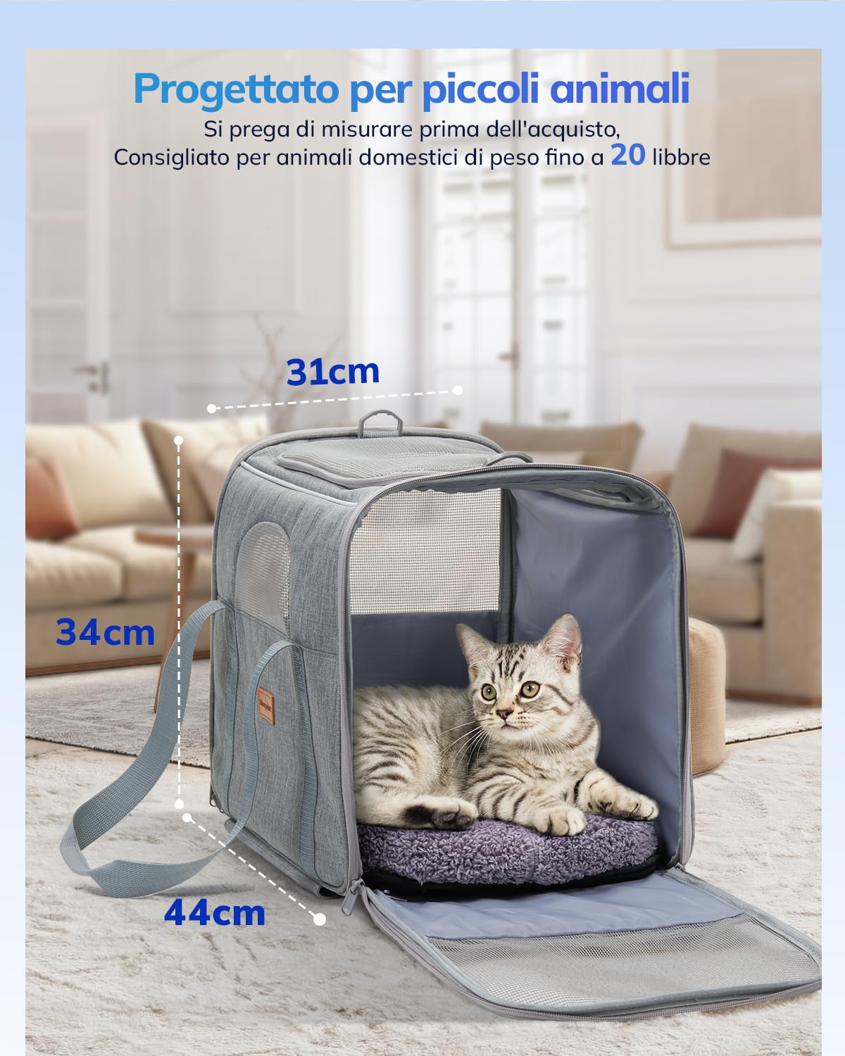 Morpilot Borsa per il trasporto per gatti con ruote, pieghevole, per il trasporto di gatti, trasportino per cani di piccola taglia