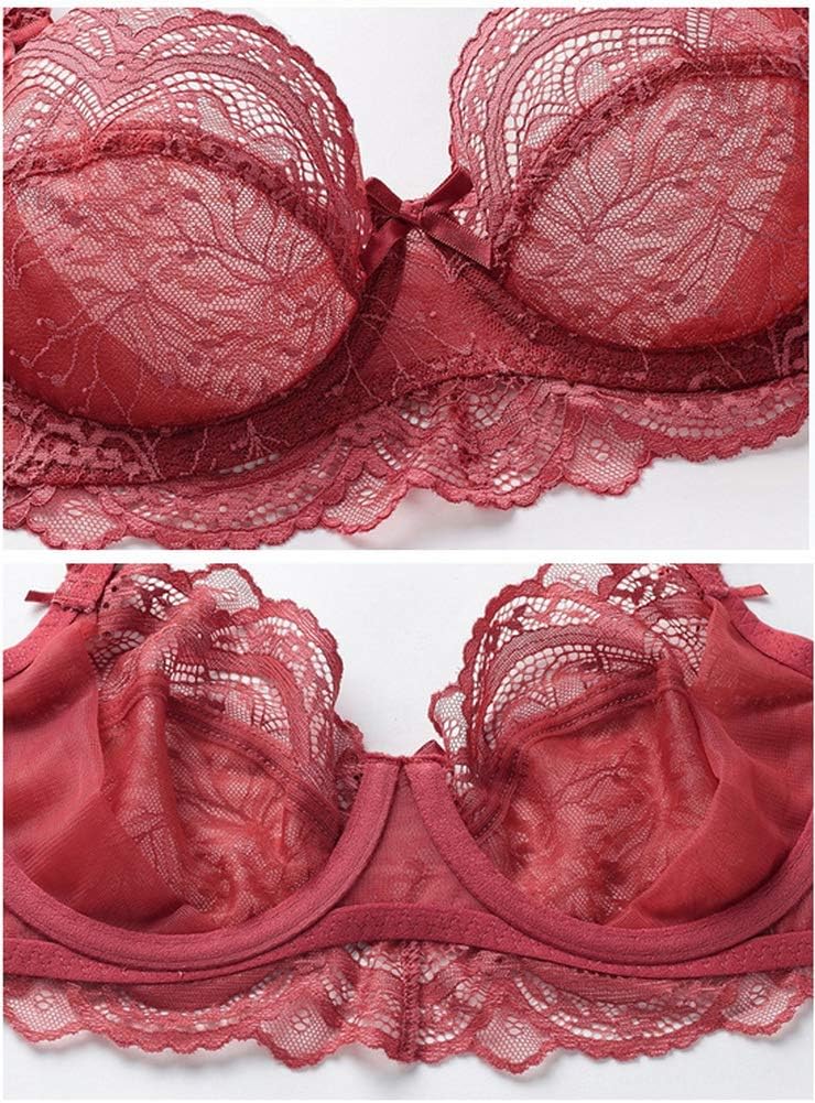 Women's Ultra-Thin Translucent Bra Set Lace Embroidery Lingerie Bra and Panties
