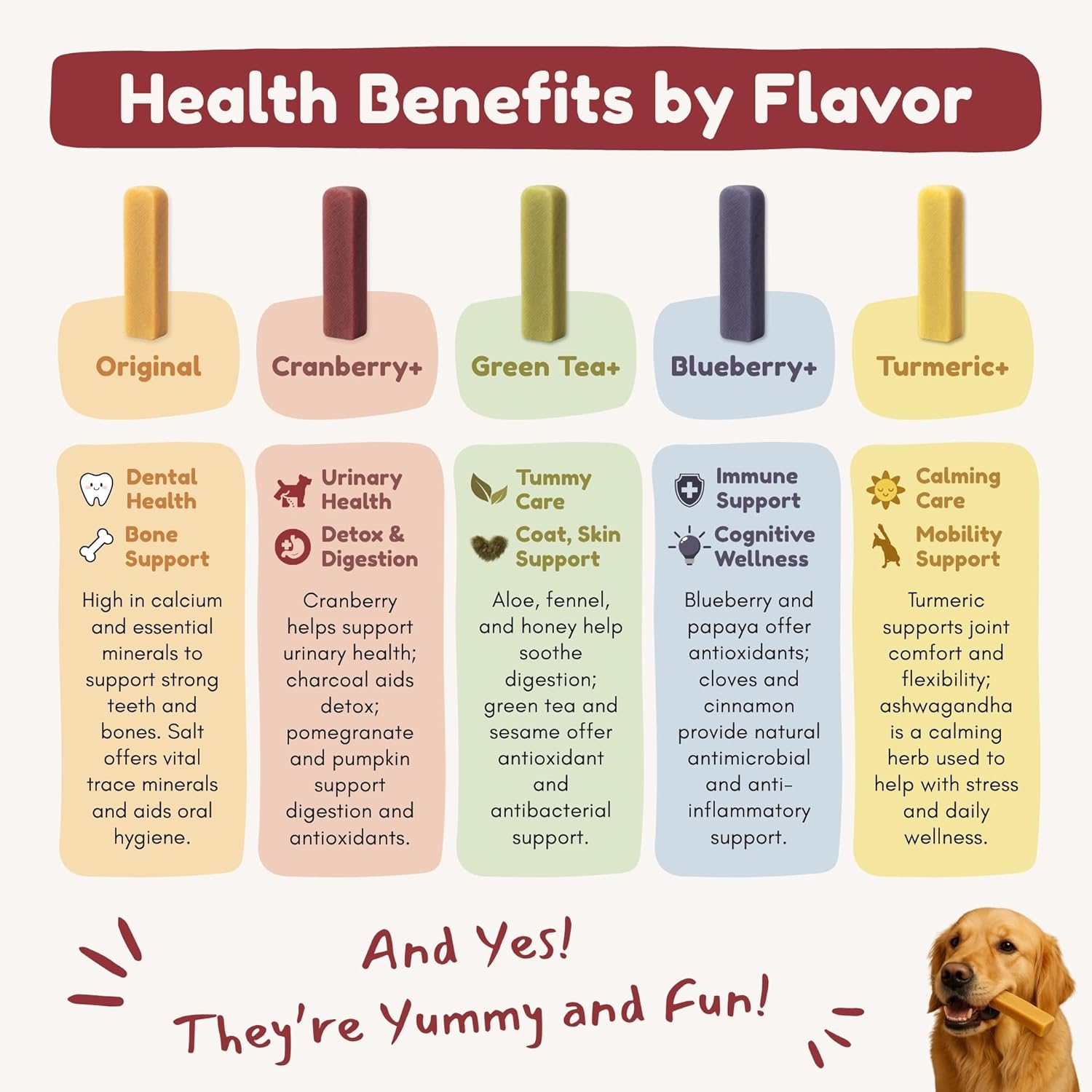 Majestic Pet Himalayan All-Natural Cheese Dog Chews - Long Lasting Dental Chew for Dogs - Healthy Pet Treats with Beneficial Ingredients (Variety Pack, Large, 5 Pack)