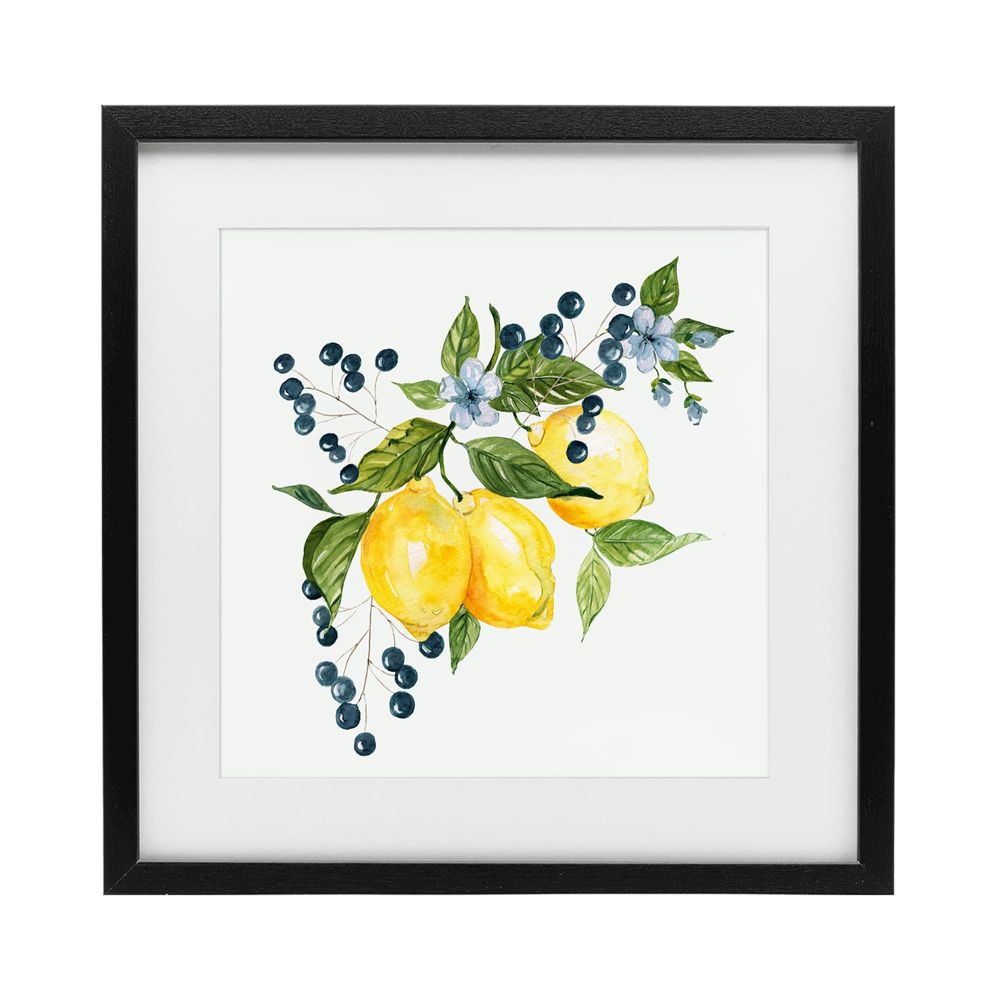 Stupell Industries Midnight Black (Textured) Lemon Branch With Berries Botanical, 16 X 16 Inch Framed Print Under Glass