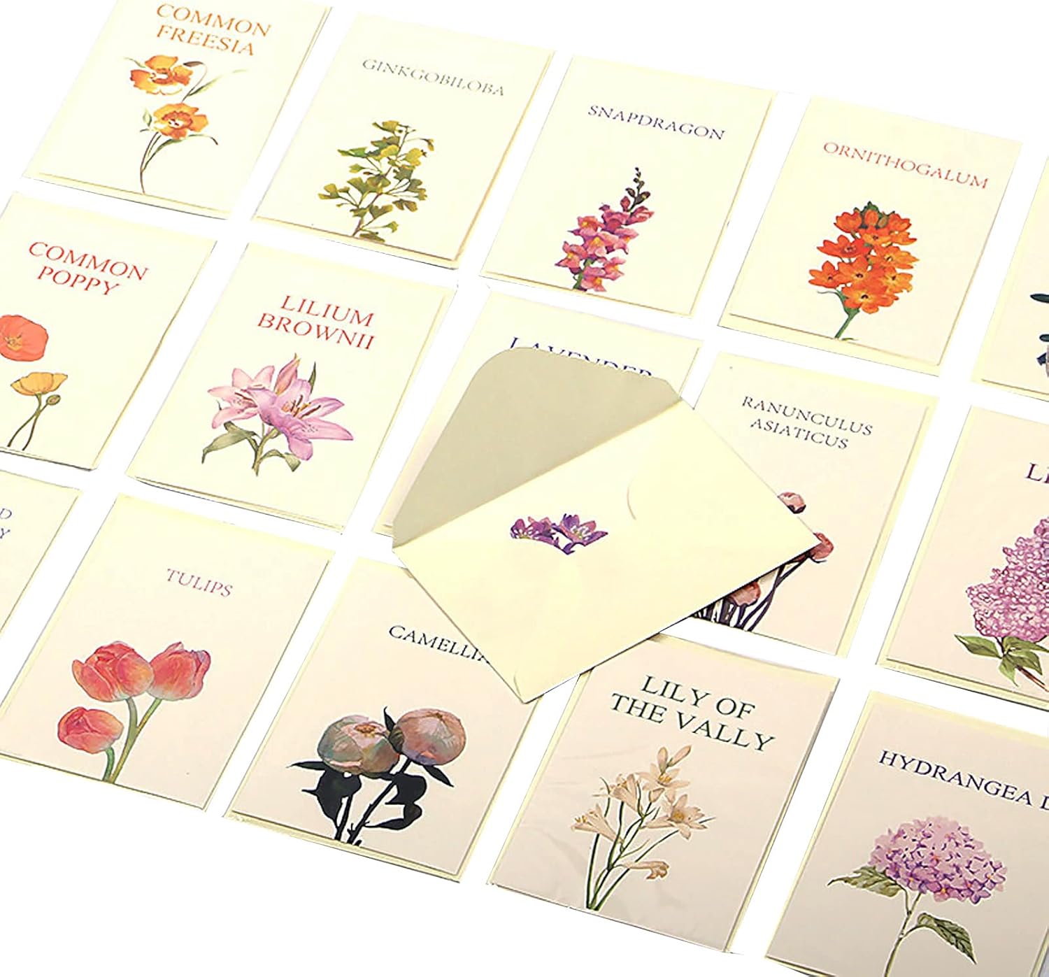 感謝カード グリーティングカード 128枚セット 16種類 花の柄 メッセージカード 折りたたむ サンキューカード ありがとう カード 封筒付き 誕生日 招待状 お祝い手紙 卒業式 友達 家族 透明な収納袋付き Anbx Net 感謝カード グリーティングカード 128枚セット 16種類 花の柄 メッセージカード 折りたたむ サンキューカード ありがとう カード 封筒付き 誕生日 招待状 お祝い手紙 卒業式 友達 家族 透明な収納袋付き Anbx Net
