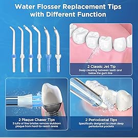 Replacement Tips for Waterpik, Water Flosser Replacement Heads Parts for Waterpik Oral Irrigator(2 Classic Jet Tips + 2 Plaque Chaser Tips + 2 Periodontal Tips + Storage Case Combo)