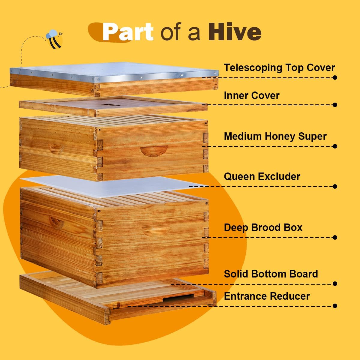 10 Frame Langstroth Beehive Kit Dipped in Heavy Beeswax Bee Hives with 1 Deep Bee Box and 1 Medium Bee Hive Box with Frame and Foundation(Unassembled)