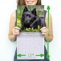 Vista 812 de Razas de Perros 2017