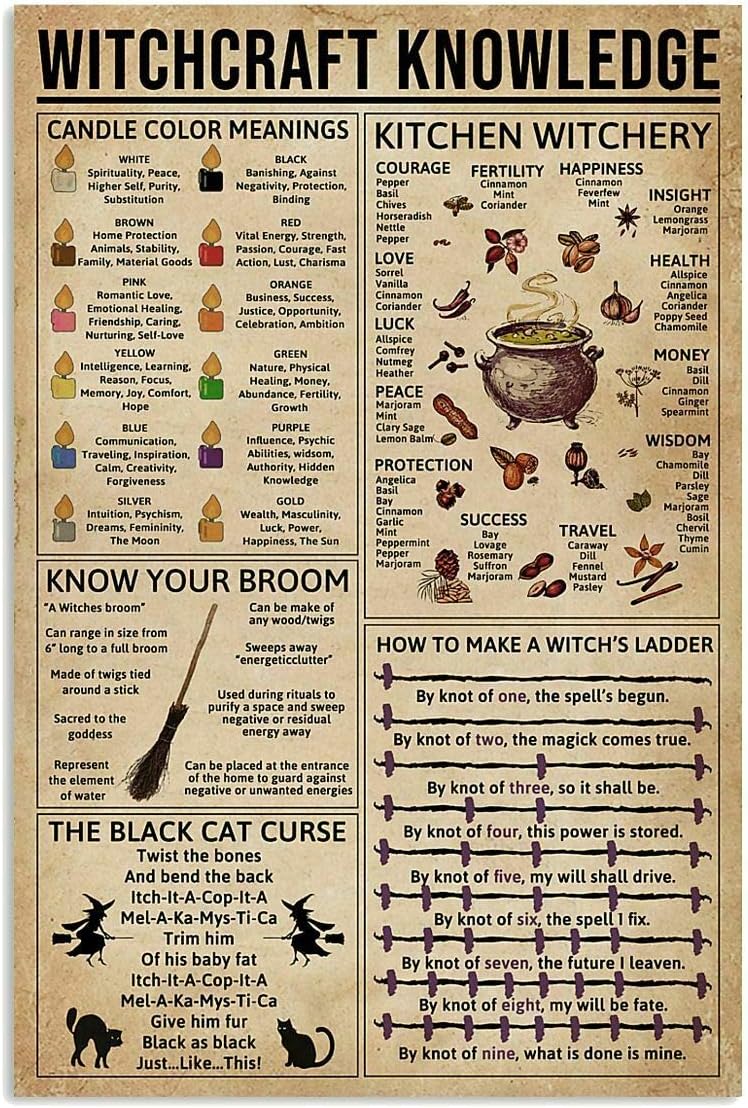 Pozino Tin Sign Witchcraft Knowledge Fun World Education Science Classroom Infographic Tin Sign Great Retro Gifts and Decorative Door Wall School Farm Hospital Metal Sign 8x12