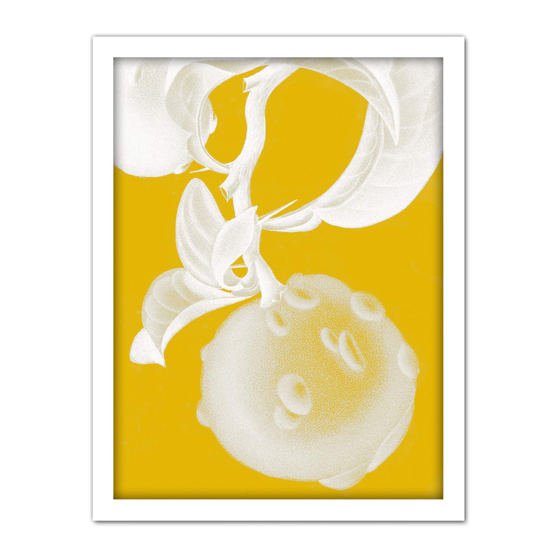 Wee Blue Coo Modern Bold Biodiversity Orange Plant Artwork Framed Wall Art Print 18X24 Inch