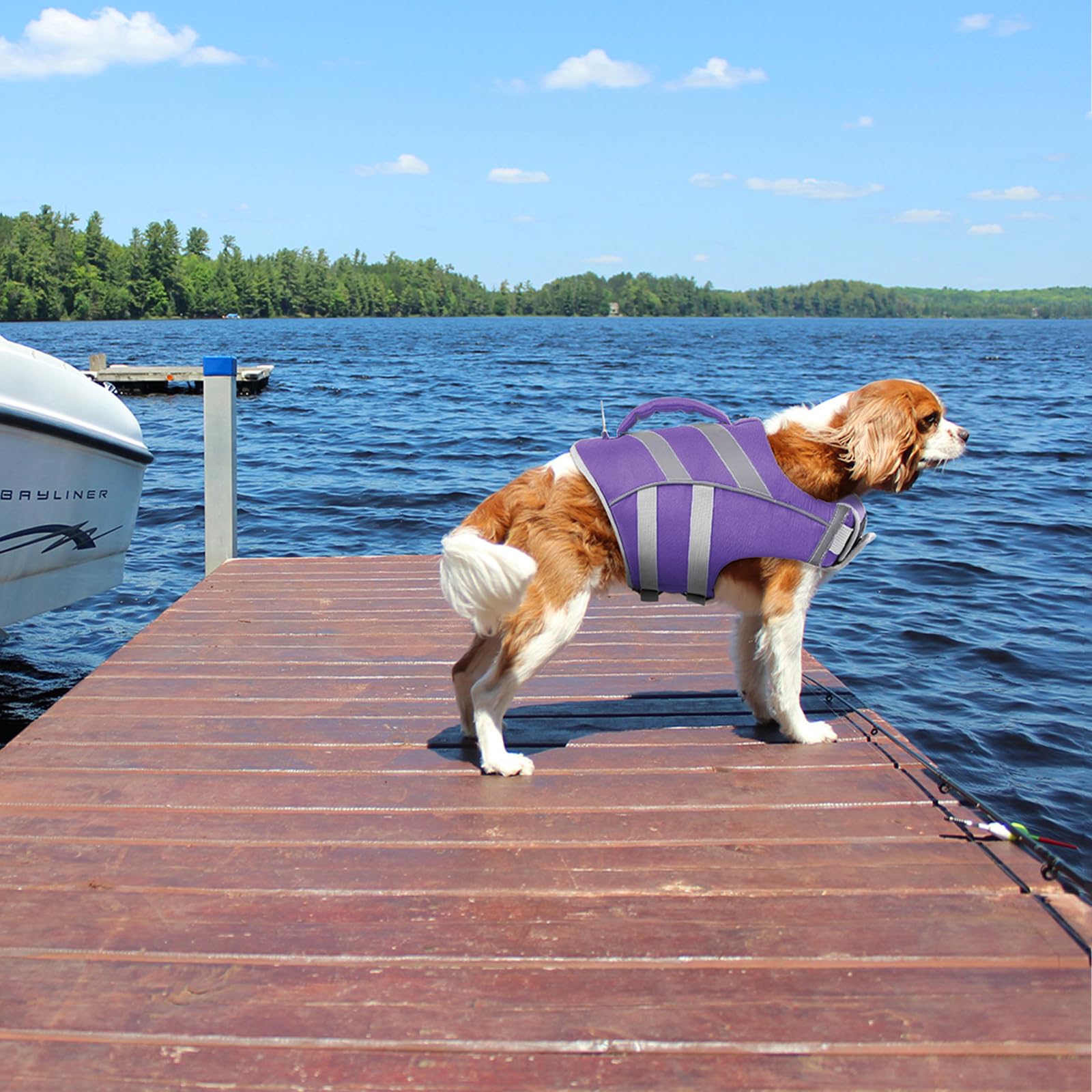 Kuoser Schwimmweste Hund, Haltbarkeit Hundeschwimmweste, Hervorragender Auftrieb Schwimmweste Hund klein groß mittel,Hohe Sicherheit hundeschwimmweste große Hunde Lila M