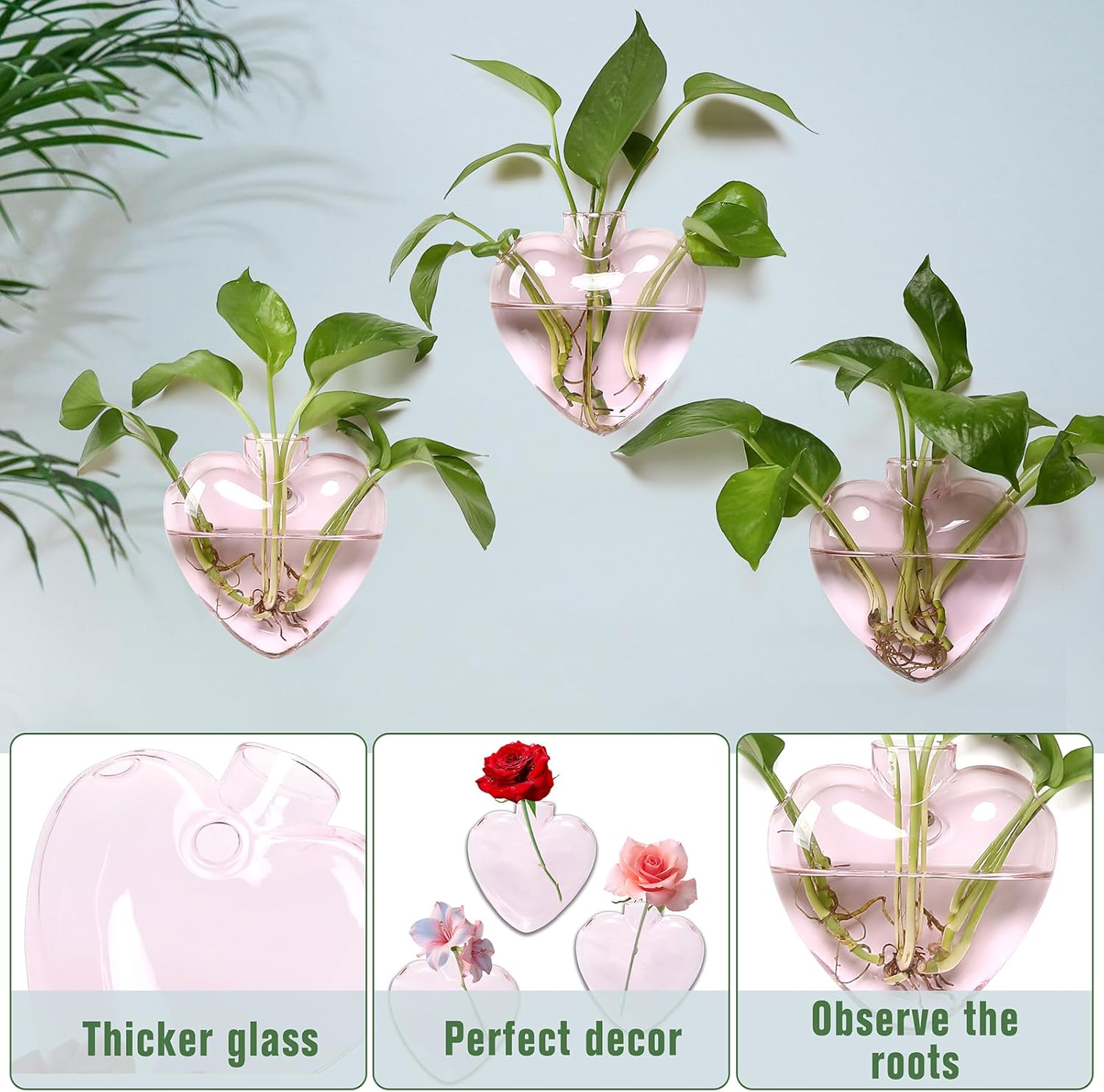 Wall Hanging Planter Propagation Station for Indoor Plants Glass Vase Air Plant Holder Gift for Women Girlfriend Plant Lover