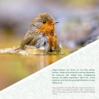 WILDLIFE FRIEND Öntöttvas Madáritató Állvánnyal - Fagyálló Kerti és Erkély Madáretető Tál - Strapabíró, Időjárásálló, 63 cm Magas, Rovarbará 5