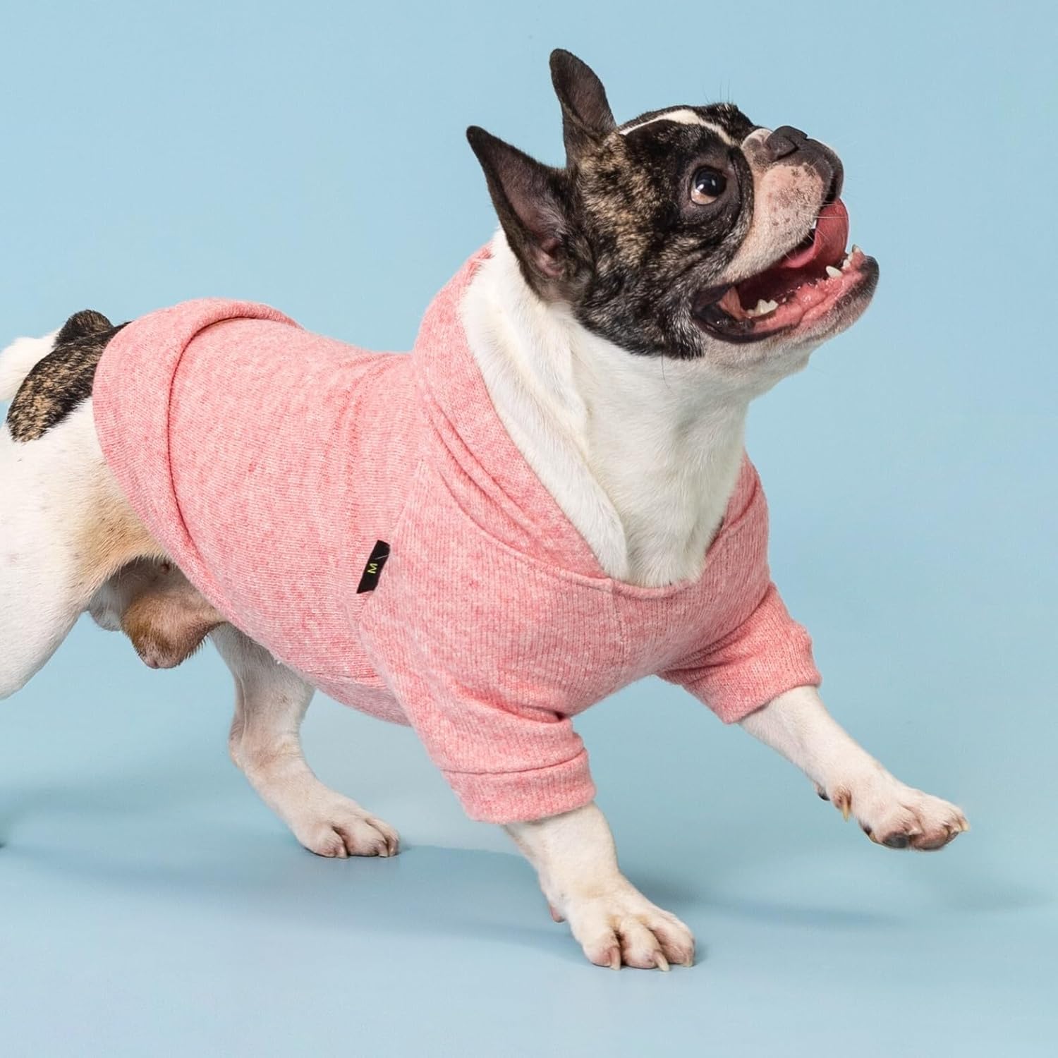 Fitwarm Knitted Dog Hoodie Sweater, Winter Clothes for Small Dogs Boy Girl, Lightweight Pet Sweatshirt, Heather Pink, XL