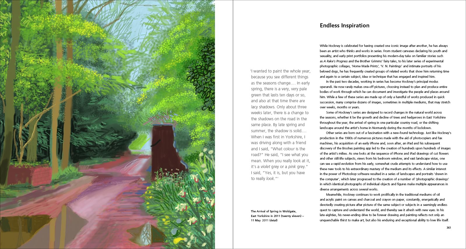 Hockney's Pictures