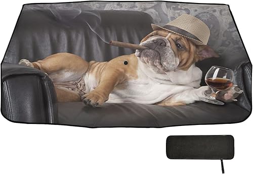 Miniatura 2 de ALAZA Parasol para parabrisas de automóvil, diseño de bulldog inglés fresco en silla de cuero para ventana delantera, protector plegable para